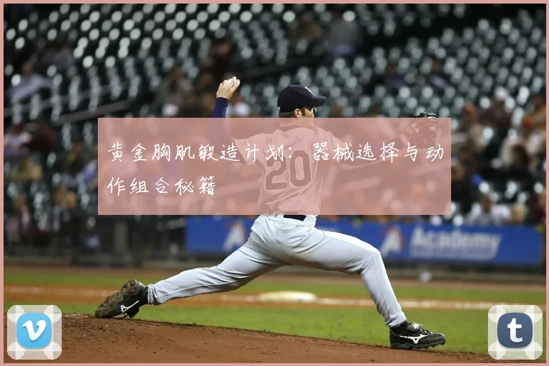 黄金胸肌锻造计划:器械选择与动作组合秘籍