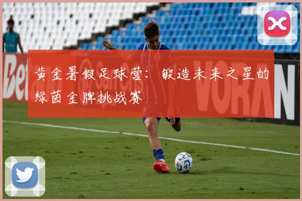 黄金暑假足球营:锻造未来之星的绿茵金牌挑战赛