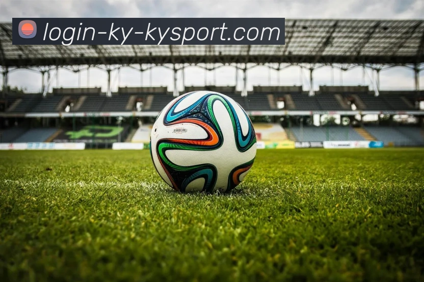 开云平台生态图